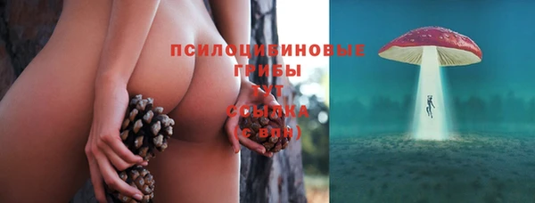 меф Шадринск